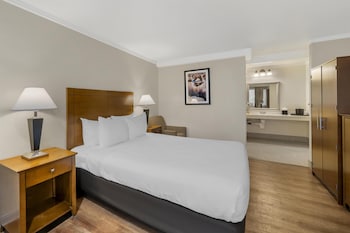Standard Room, 1 Queen Bed, Accessible, Non Smoking
