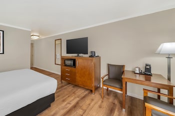 Standard Room, 1 King Bed, Accessible, Bathtub