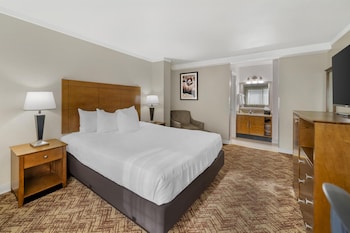 Standard Room, 1 King Bed, Non Smoking, Refrigerator & Microwave