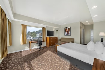 Standard Room, 1 King Bed, Non Smoking (with Partial Harbour View)