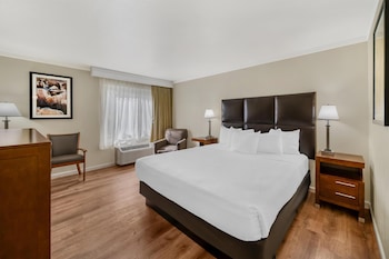 Standard Room, 1 King Bed, Accessible, Bathtub