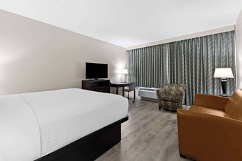 1 King Bed, Non Smoking, Pet Friendly
