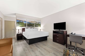 1 King Bed, Non Smoking, Pet Friendly