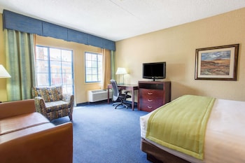Room, 1 King Bed, Accessible, Non Smoking