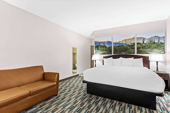 Room, 1 King Bed, Non Smoking, Poolside
