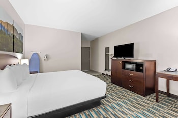 Room, 1 King Bed, Accessible, Non Smoking