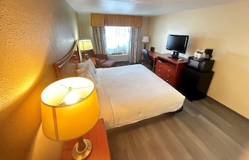 Room, 1 Double Bed, Non Smoking