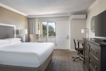 Room, 1 King Bed