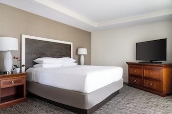 Room, 1 King Bed, Accessible (SHOWER)
