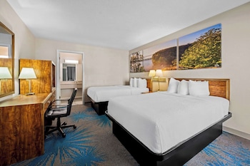 Double Room, 2 Double Beds