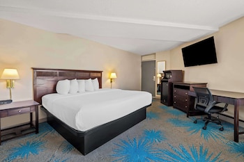 Suite, 1 King Bed, Refrigerator