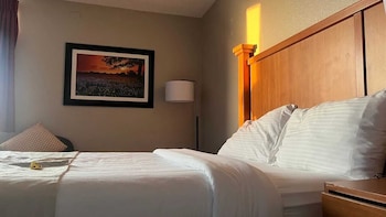 Room, 1 King Bed