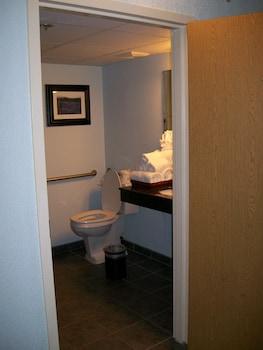 Room, 1 King Bed (Accessible)
