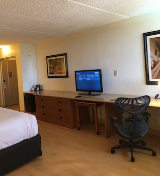 Deluxe Room, 1 Double Bed