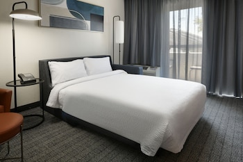 Room, 1 King Bed