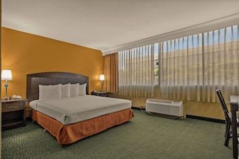 Room, 1 King Bed, Non Smoking