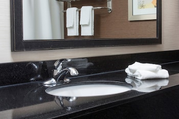 Room, 1 King Bed, Accessible (Roll-in Shower & Transfer Shower)
