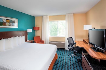 Room, 1 King Bed, Accessible (Roll-in Shower & Transfer Shower)