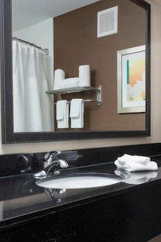 Room, 1 King Bed, Accessible (Roll-in Shower & Transfer Shower)