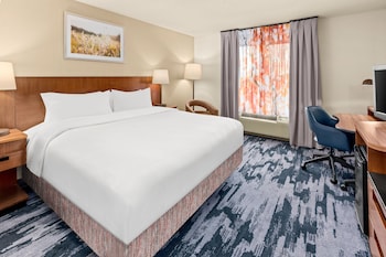 Room, 1 King Bed