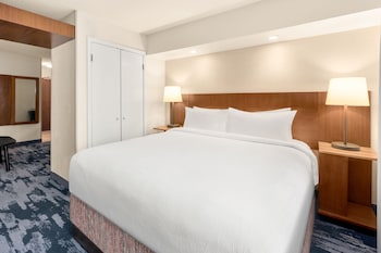 Executive Suite, 1 King Bed with Sofa bed (Mobility/Hearing Access, Roll-In Shwr)
