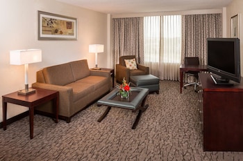 Suite, 1 King Bed (Whirlpool)