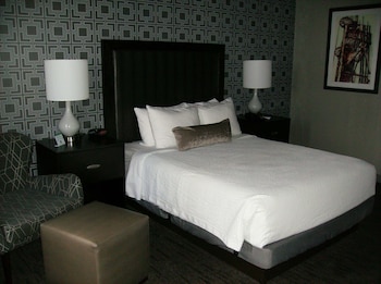 Standard Room, 1 King Bed, Accessible, Non Smoking
