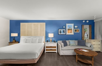 Room, 1 King Bed (Accessible Shower-Tub)