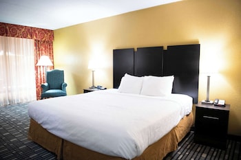 Room, 1 Double Bed, Accessible, Non Smoking