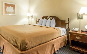 Room, 1 Double Bed, Accessible, Non Smoking