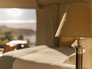 Premium Suite