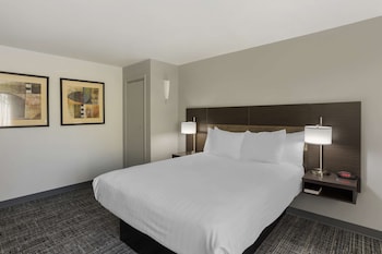 Standard Room, 1 Queen Bed, Non Smoking, Refrigerator