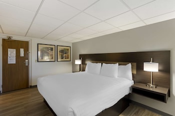 Standard Room, 1 King Bed, Non Smoking, Refrigerator & Microwave