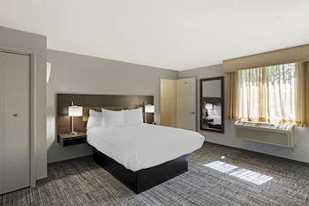 Standard Room, 1 Queen Bed, Non Smoking, Refrigerator