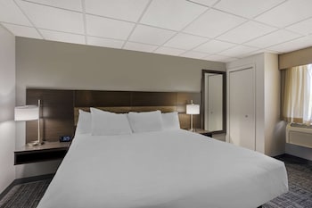 Suite, 1 King Bed, Non Smoking, Jetted Tub (with Sofabed)