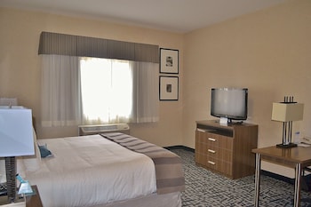 Standard Room, 1 King Bed, Accessible, Refrigerator & Microwave