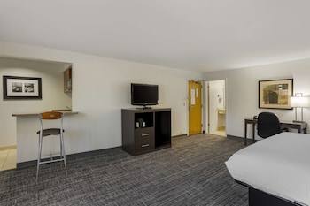 Suite, 1 King Bed, Non Smoking, Refrigerator & Microwave (with Sofabed)