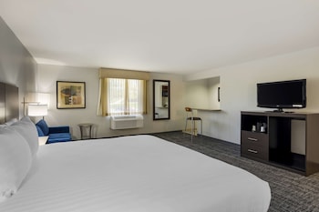 Suite, 1 King Bed, Non Smoking, Refrigerator & Microwave (with Sofabed)