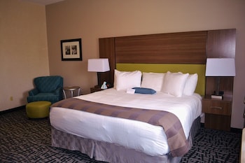 Standard Room, 1 King Bed, Accessible, Refrigerator & Microwave