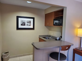 Suite, 1 King Bed, Non Smoking, Refrigerator & Microwave (with Sofabed)