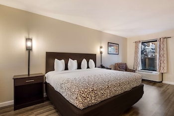 Standard Room, 1 King Bed, Accessible, Refrigerator & Microwave