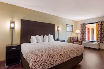 Standard Room, 1 King Bed, Accessible, Refrigerator & Microwave
