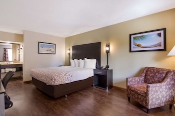 Standard Room, 1 King Bed, Accessible, Refrigerator & Microwave