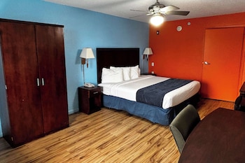 Room, 1 King Bed, Mobility Accessible, Non Smoking (Hearing, Roll-in Shower)