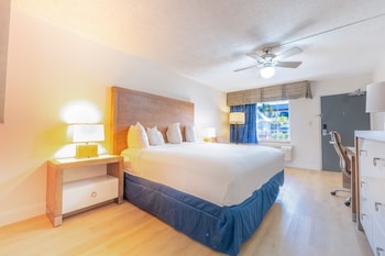 Room, 1 King Bed, Mobility Accessible, Non Smoking (Hearing, Roll-in Shower)