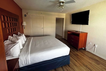 Suite, Multiple Beds, Non Smoking