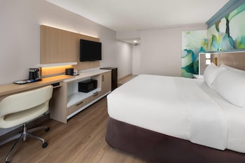 Room, 1 King Bed, Non Smoking