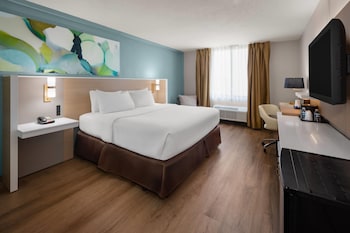 Room, 1 King Bed, Non Smoking