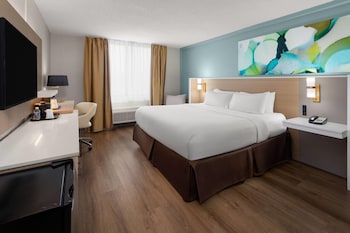 Room, 1 King Bed, Mobility Accessible, Non Smoking (Roll-In Shower)