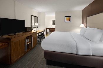 Room, 1 King Bed, Non Smoking (Atrium)